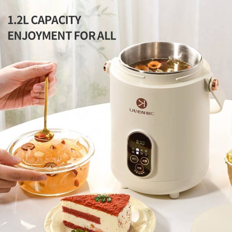 LIVEN DDG-D1216 Stainless Steel Slow Cooker