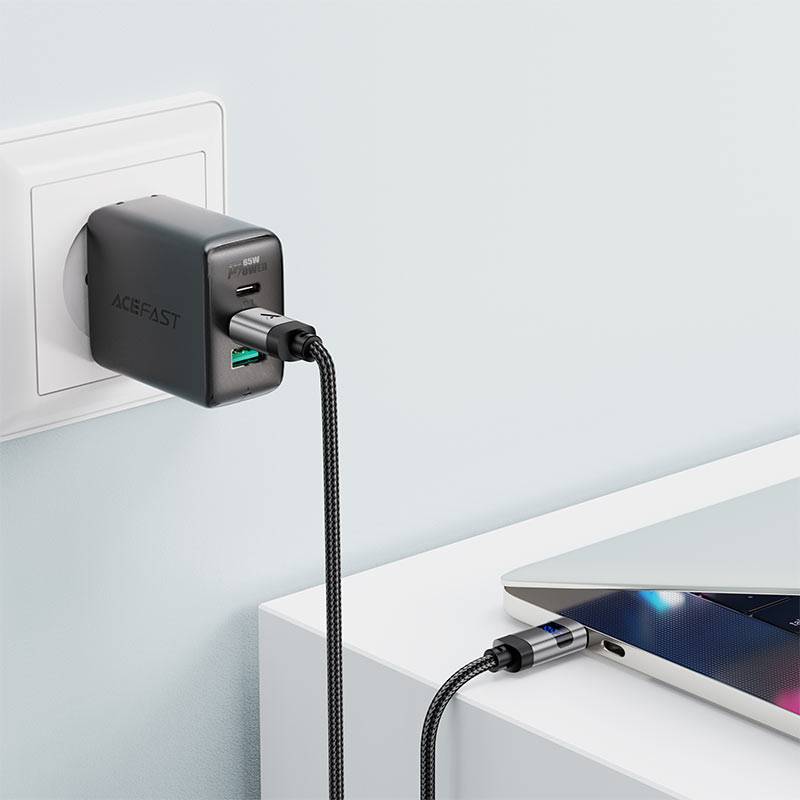 ACEFAST C15-03 USB-C to USB-C 60W Fast Charging & Data Transfer Cable