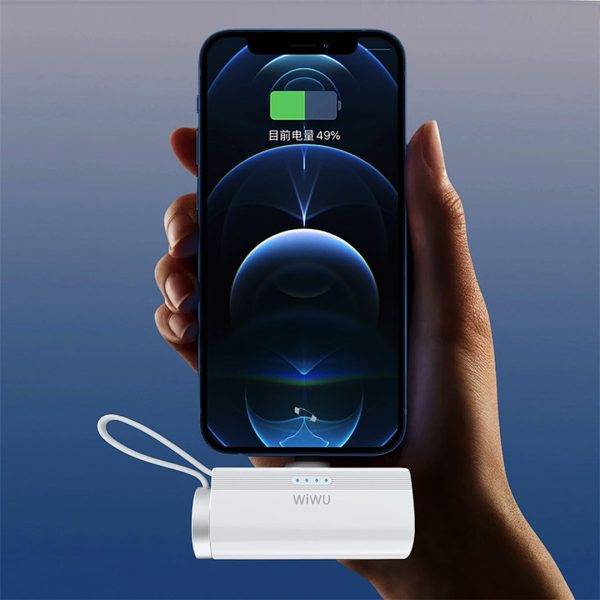 WiWU Wi-W026 2-in-1 Capsule 5000mAh USB-C Power Bank