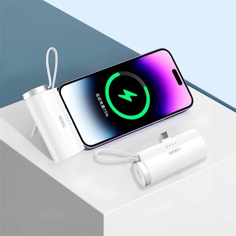 WiWU Wi-W026 2-in-1 Capsule 5000mAh USB-C Power Bank
