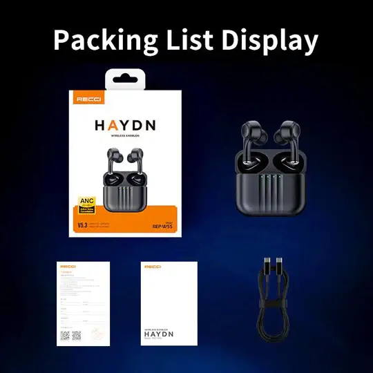 Recci REP-W55 Haydn Series True Wireless Stereo TWS Earbuds