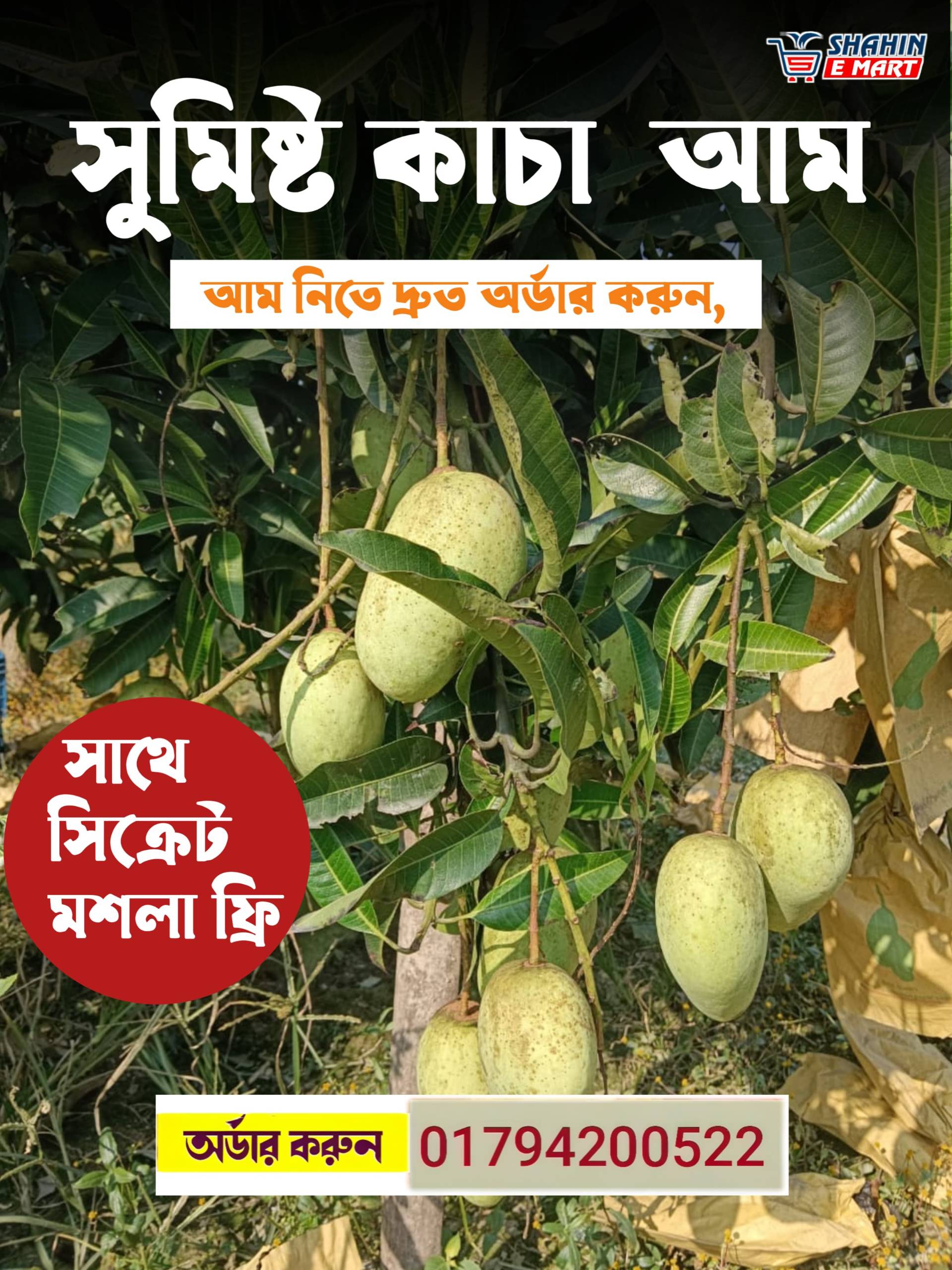 কাঁচা কাটিমন আম (সিক্রেট মসলা ফ্রি)