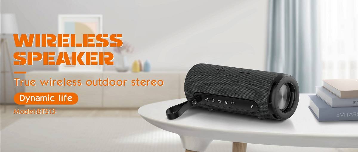 LDNIO BTS13 Mini Wireless Portable Bluetooth Hi-Fi Bass Speaker