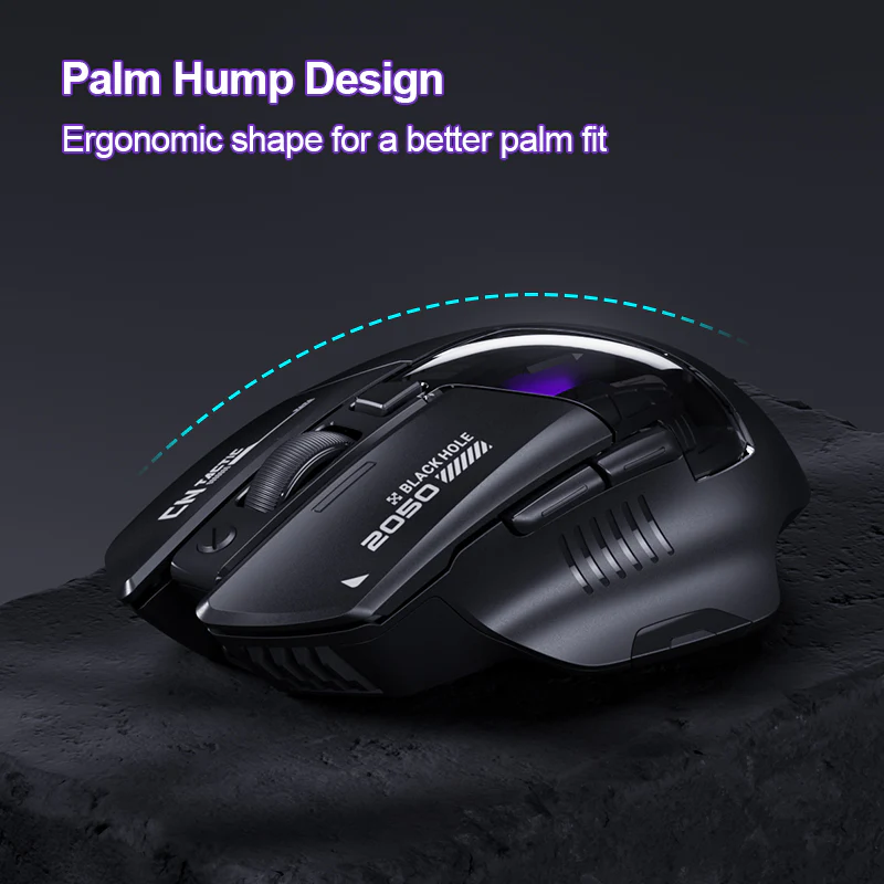 5.webp