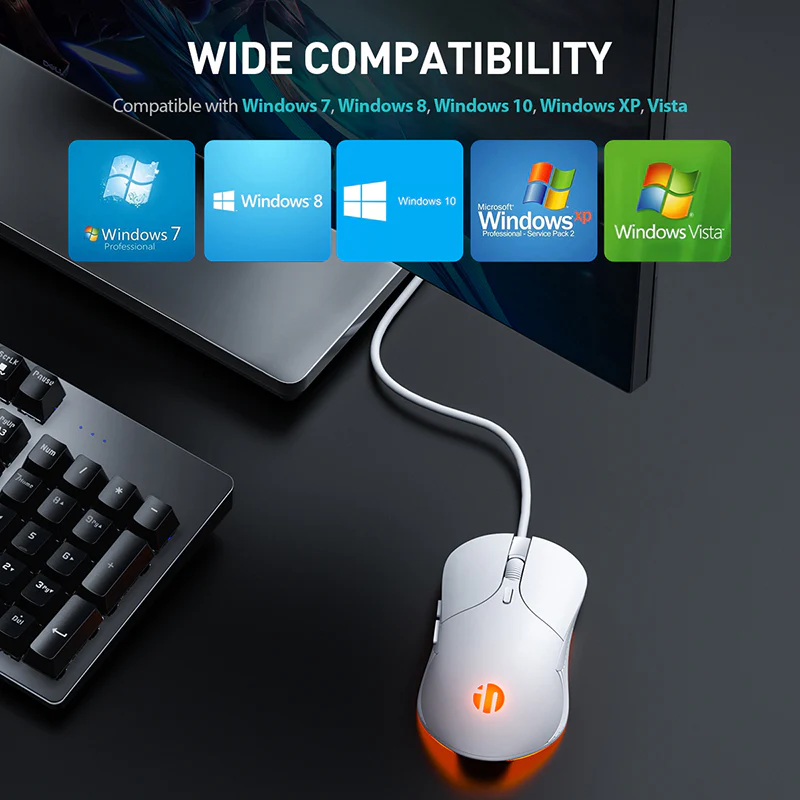 6.webp