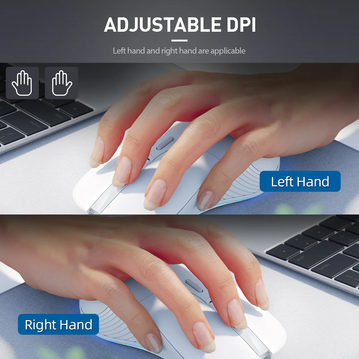 8.webp