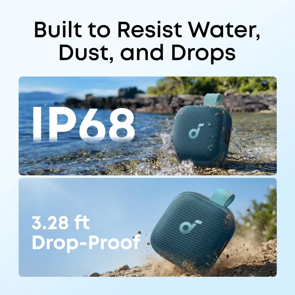 5.webp