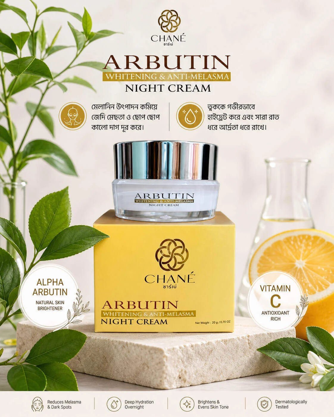 Chane Arbutin Whitening & Anti-Melasma Night Cream (20g)