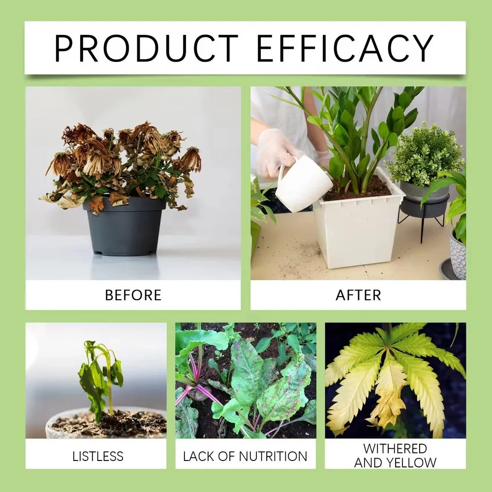 2 Box- Plant Growth Fertilizer Sticks 2 Box- Plant Growth Fertilizer Sticks