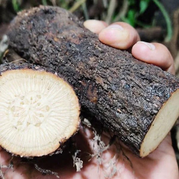 চুই ঝাল