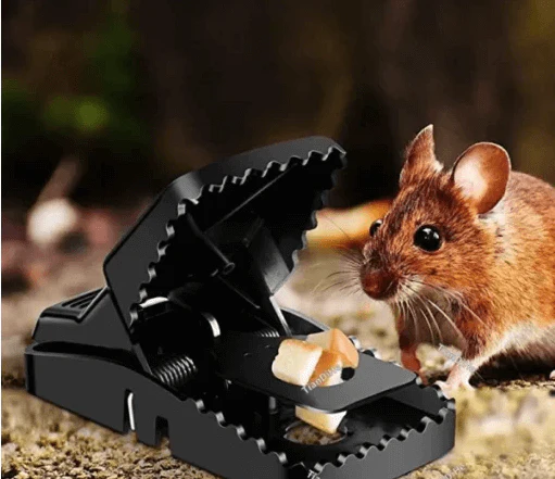 4Pcs- Mouse Killer Trap 4Pcs- Mouse Killer Trap