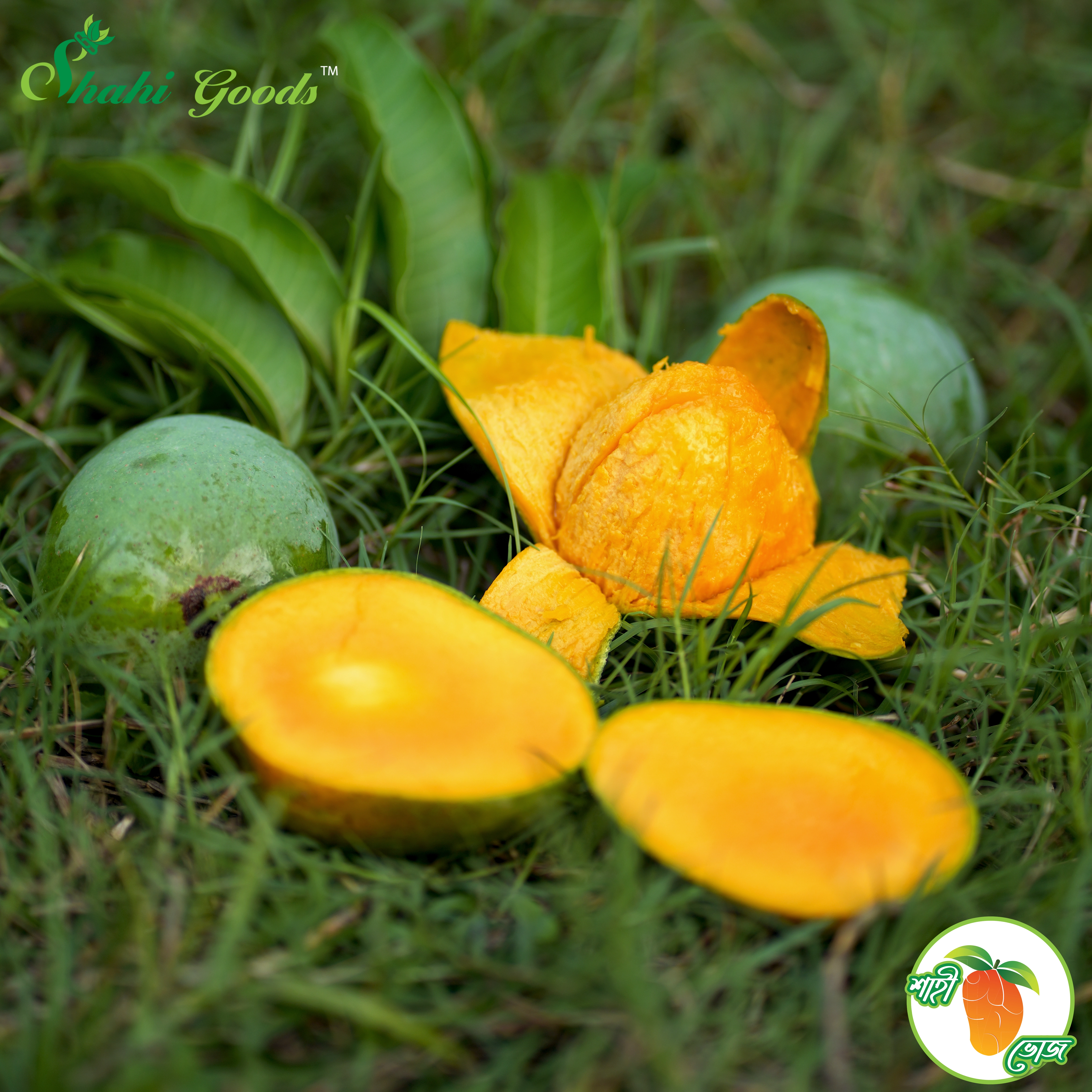 হিমসাগর আম - Himsagar Mango
