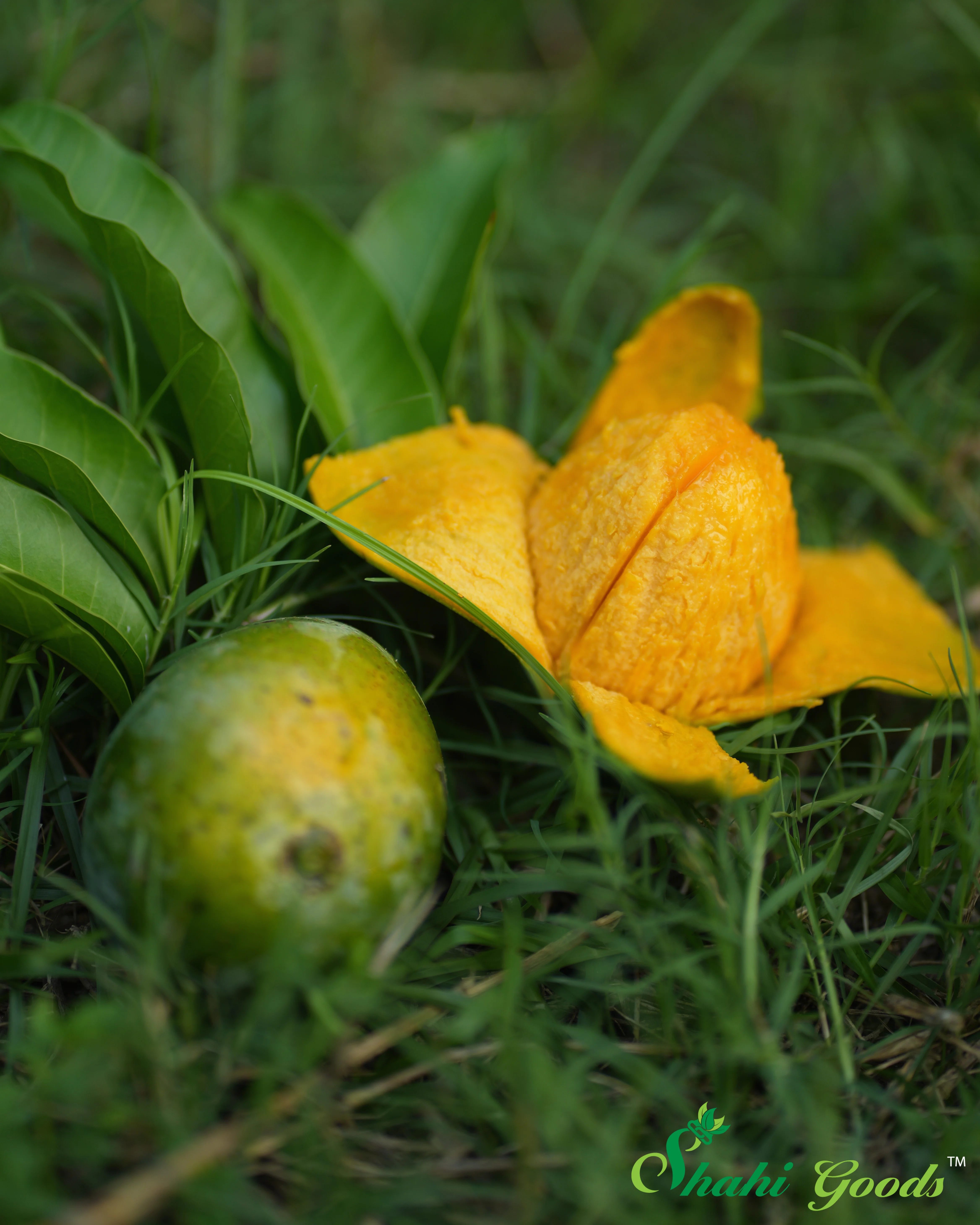 হিমসাগর আম - Himsagar Mango