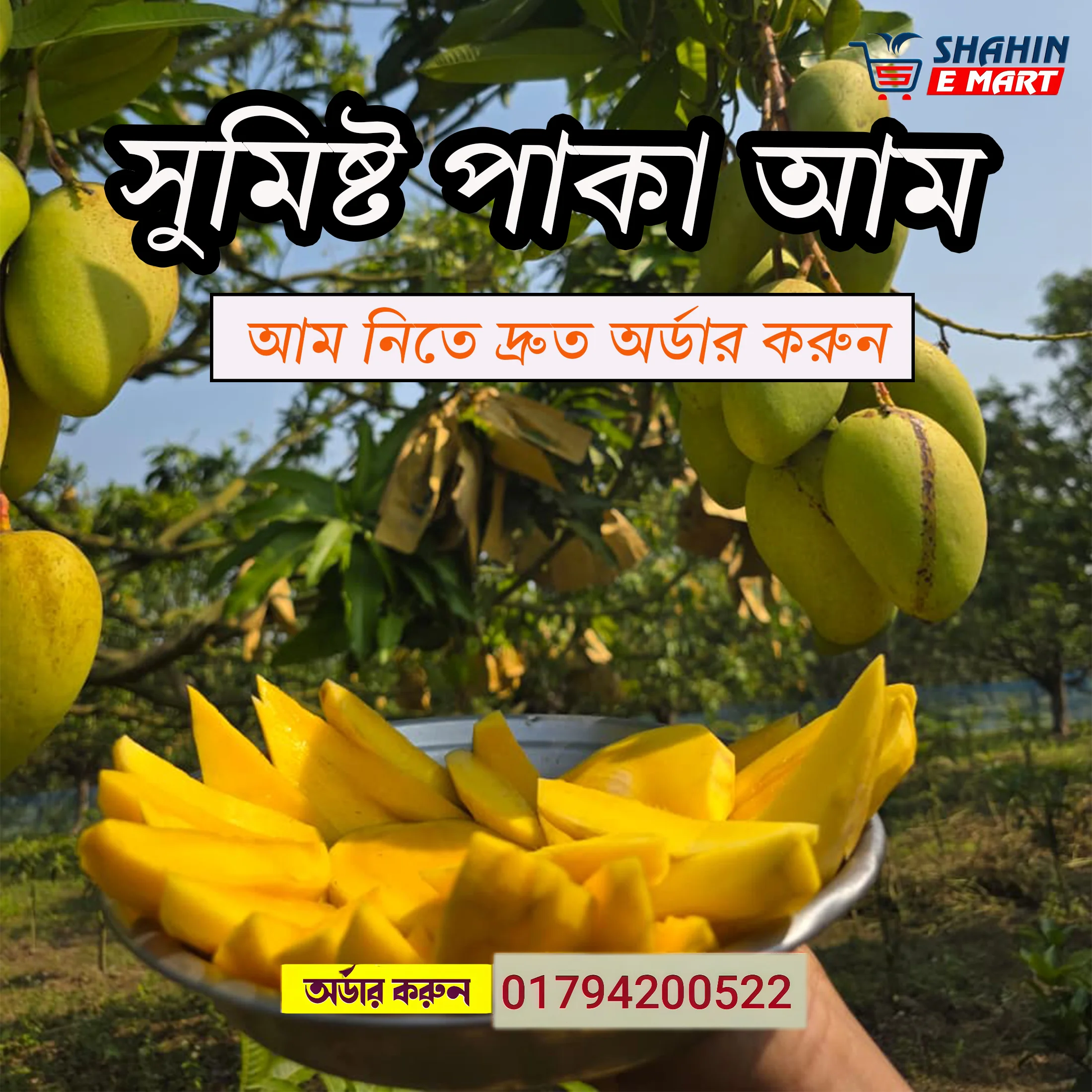 পাকা কাটিমন আম