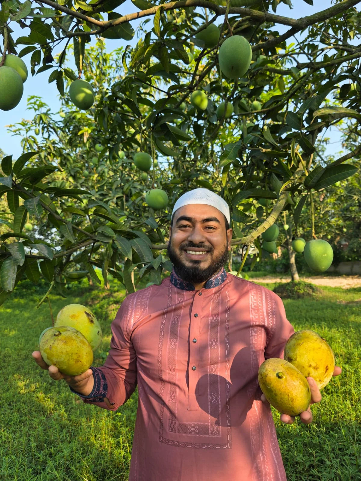সাতক্ষিরার গোবিন্দভোগ আম 