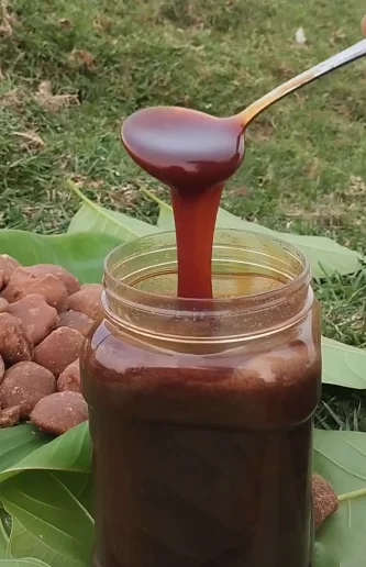 তালের ঝোলা গুড়