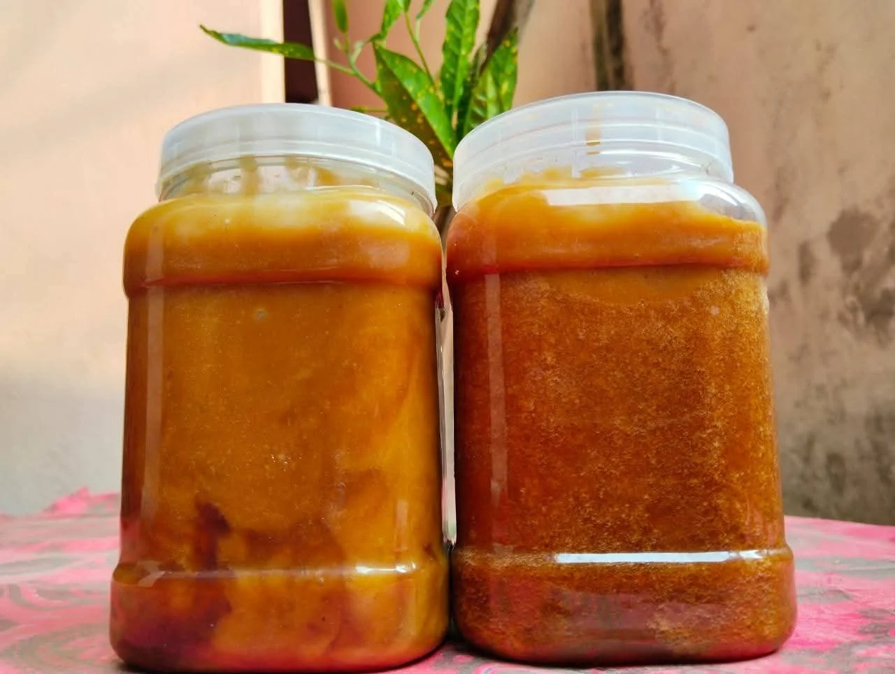 তালের চকলেট গুড়