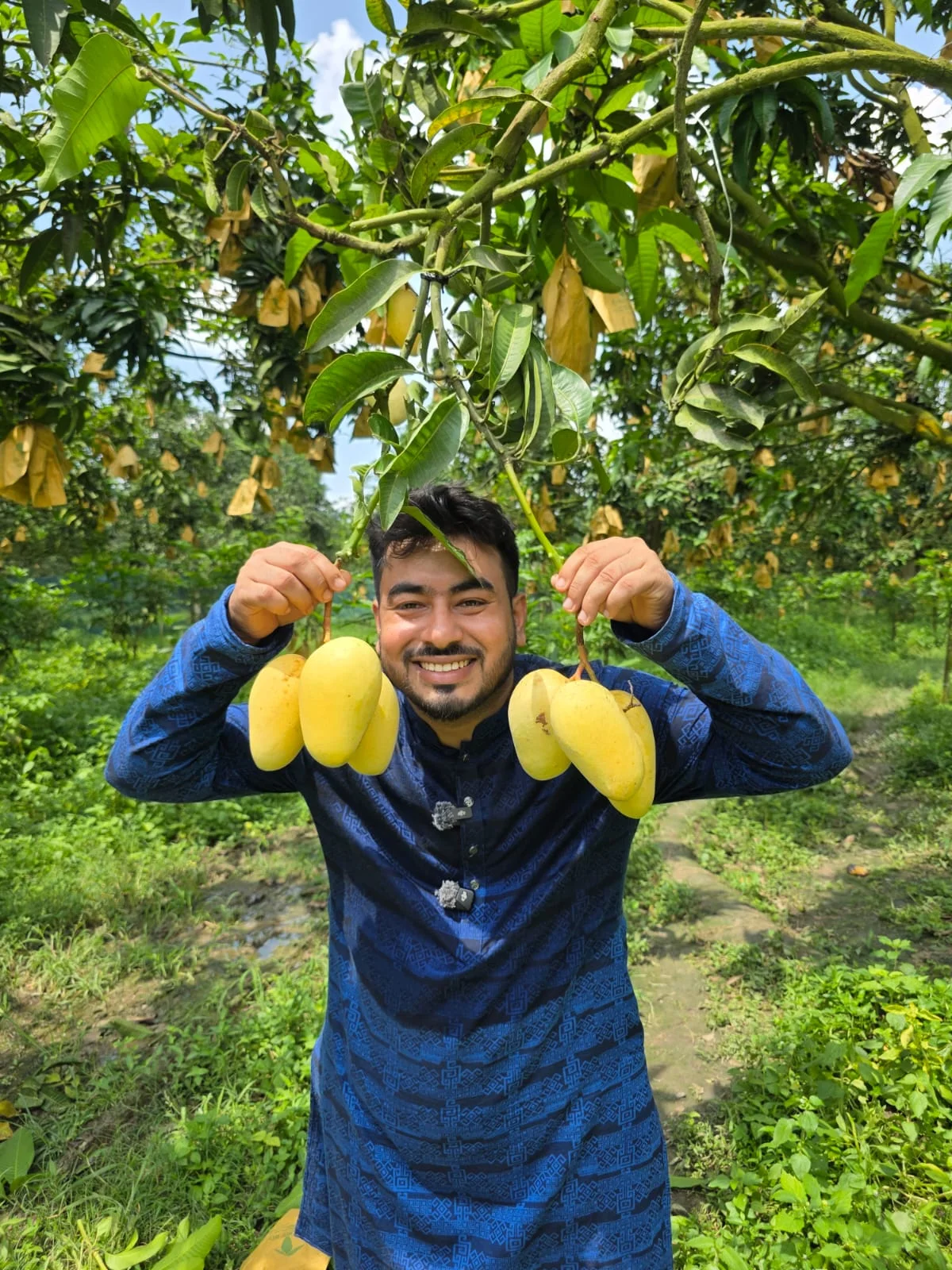 Mango