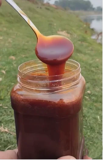 তালের ঝোলা গুড়