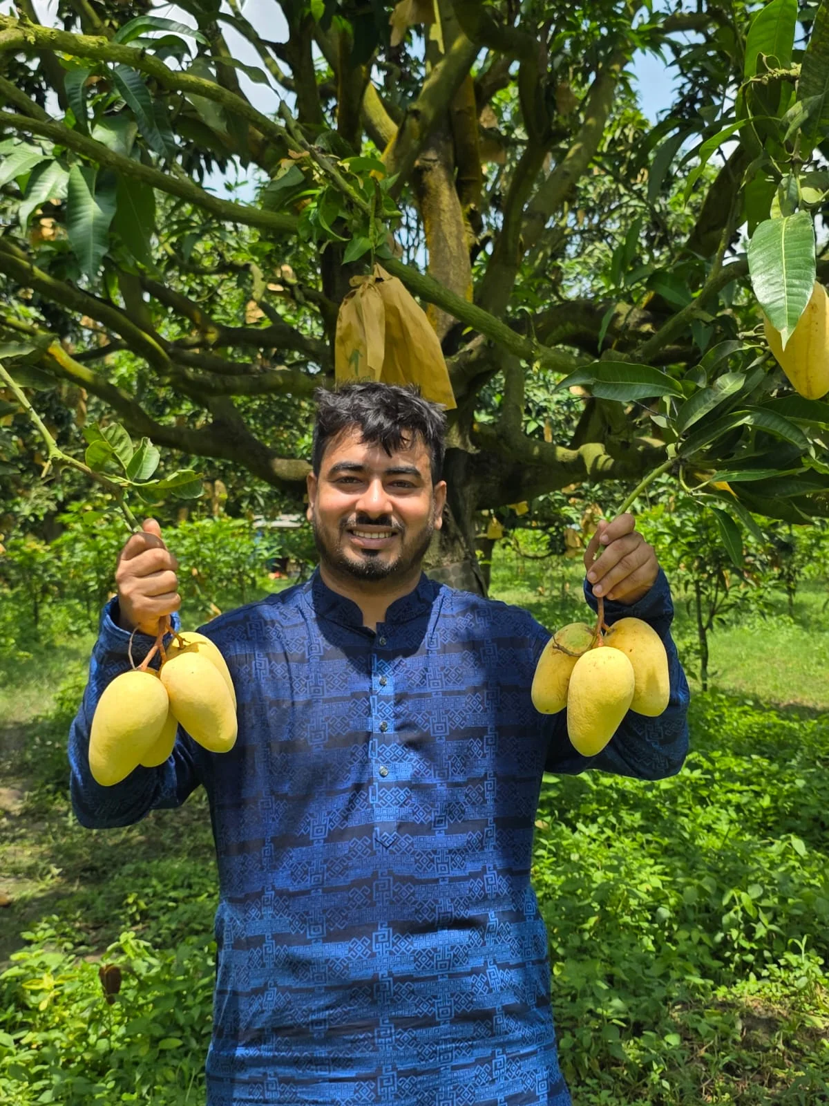 বারোমাসি সুইট কাটিমণ আম