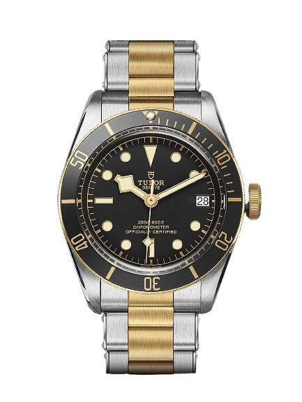 Tudor  Black Bay S&G M79733N-0008