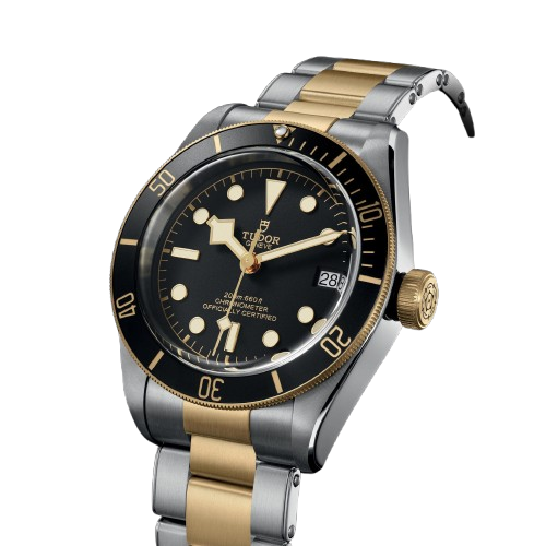 Tudor  Black Bay S&G M79733N-0008